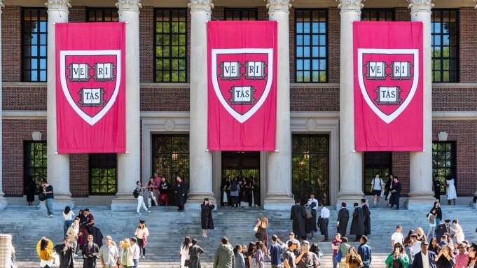 harvard-veritas-banners.jpg