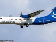 Brytyjskie linie lotnicze upadają, ponieważ wszystkie loty są natychmiast odwołane, a pasażerowie pozostają sami