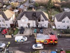 Dwóch nastolatków i kobieta trafili do szpitala po podpaleniu „trzech domów” w małym miasteczku – policja aresztuje 50-letniego mężczyznę za „usiłowanie morderstwa”