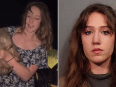 Amerykański influencer, który wywołał oburzenie w Australii po wyczynach kaskaderskich na małym wombacie, zostanie oskarżony o polowanie