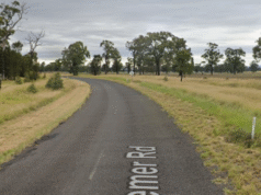 57-letnia kobieta umiera po tym, jak samochód zjechał z drogi w busz w odległej zachodniej Nowej Południowej Walii