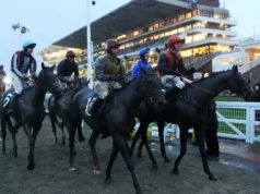 Cheltenham przechodzi inspekcję po burzy Claudia