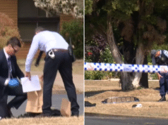 Dwóch mężczyzn stanie przed sądem, młoda kobieta trafiła do szpitala po dramatycznym pościgu w Wagga Wagga