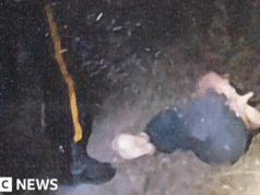 Policja twierdzi, że były pracownik prawodawcy przeprowadził brutalny atak polityczny