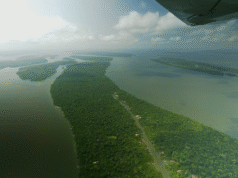 Brazylia „zaskoczyła” Wielką Brytanię, że nie inwestuje w nowy fundusz na rzecz lasów deszczowych, który pomógł zaprojektować | Wiadomości naukowe, klimatyczne i technologiczne
