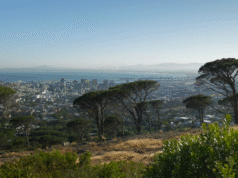 Republika Południowej Afryki tworzy historię swoim pierwszym szczytem G20, ale ciągłe wykluczanie najstarszych społeczności stanowi symboliczne zagrożenie | Wiadomości ze świata