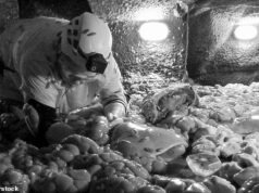 Lisa Riley z „I’m A Celebrity” zdobywa osiem gwiazdek za obóz po walce ze szczurami, podrobami i pająkami w przerażającej próbie Mine Of Misery Bushtucker