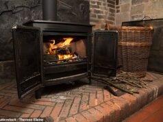 Teraz Partia Pracy wprowadza zakaz palenia drewnem? Rząd Starmera zaostrza przepisy dotyczące podgrzewaczy kominkowych w związku ze spadkiem temperatur w zimie