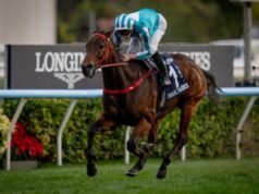 Romantyczny wojownik, Ka Ying Powstanie błyszczy w Hongkongu