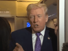 Donald Trump mówi reporterowi, że nie zdałaby testu poznawczego tak jak on