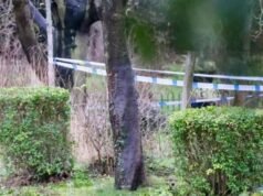 Sunderland Roker Park NA ŻYWO: Znaleziono ciało mężczyzny – policja wydała oświadczenie | Wielka Brytania | Aktualności