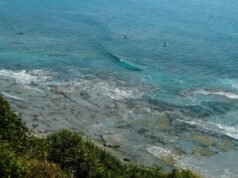 Dziewczyna, 17 lat, pogrąża się na śmierć po zrobieniu zdjęcia w popularnym punkcie widokowym | Świat | Aktualności