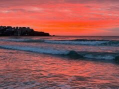 „Mieszkam w Bondi – wczoraj przybyło zło” | Świat | Aktualności