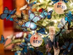 Pierwsza dama Melania Trump dekoruje Biały Dom na Boże Narodzenie: „Dom jest tam, gdzie serce”