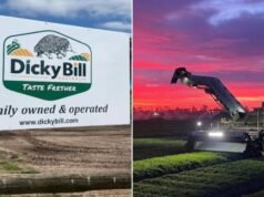 Upadek Dicky’ego Billa: Rolnik czwartego pokolenia, który dostarcza Colesowi sałatki i zioła, upada