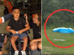 Strażnicy z Rady Sutherland Shire spuścili powietrze z basenu dla niepełnosprawnego chłopca na plaży Kurnell