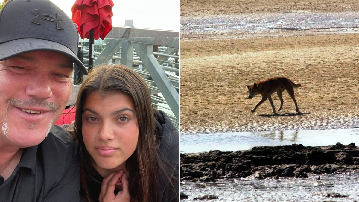 Ojciec nastolatka znalezionego martwego na K’gari mówi, że nie życzyłaby sobie odstrzału dingo