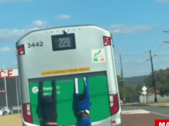 Nastoletni chłopcy przyłapani na kamerze, jak przyczepiają się do tyłu jadącego autobusu w Perth