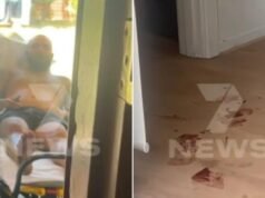 Chwilę po tym, jak mężczyzna rzekomo dźgnięty nożem w Netley została uchwycona przez kamerę, gdy napastnik staje przed sądem