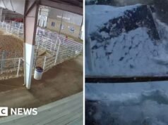 Moment zawalenia się dachu na arenie rodeo z powodu śniegu