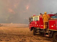 Zmiana wiatru powoduje „nieregularne” warunki pożarów buszu w pasmach Otways w Wiktorii