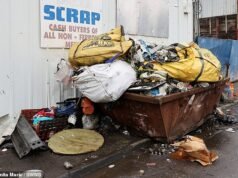 Wyrzucający śmieci zamienili naszą ulicę w „najgorsze” miejsce wyrzucania much w Wielkiej Brytanii – sprawiają, że nasze życie staje się nie do zniesienia