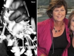 FBI publikuje szczegółowy opis podejrzanej Nancy Guthrie i plecaka, który miał ze sobą w nagrodę za informacje podniesione do 100 000 dolarów: Aktualizacje na żywo