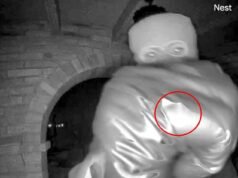 Policjanci z Nancy Guthrie badają „mały pierścionek” porywacza zauważony pod rękawiczką na nagraniu z dzwonka do drzwi, gdy wychodzi na jaw NOWY „wyrafinowany” list z żądaniem okupu