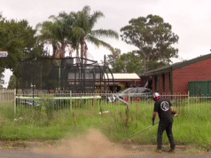 Wirusowy ogrodnik rzuca wyzwanie Radzie Blacktown w sprawie zaniedbanych ulic Bidwill