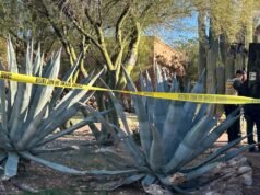 Zaginięcie Nancy Guthrie: FBI przeszukuje dom i posiadłości rodzinne w Rio Rico