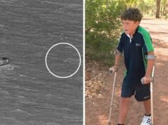 Hotel ukarany po tym, jak rodzina Appelbee wypłynęła w morze na paddleboardach i kajakiem w Australii Zachodniej