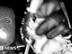 DNA znalezione na rękawiczce, które może pasować do tego z nagrania wideo podejrzanej Nancy Guthrie