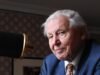Setna rocznica Davida Attenborough upłynęła pod znakiem trzech nowych występów