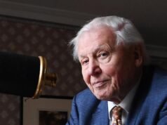 Setna rocznica Davida Attenborough upłynęła pod znakiem trzech nowych występów