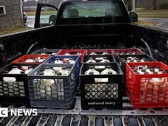 Eksperci ostrzegają przed piciem surowego mleka po śmierci dziecka z listerią w Nowym Meksyku