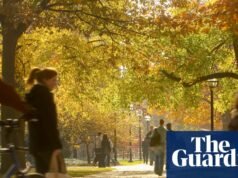 Studenci i profesorowie z USA: powiedz nam, czy akta Epsteina miały wpływ na Twój uniwersytet | uniwersytety amerykańskie