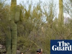 FBI ujawnia nowe szczegóły na temat zamaskowanego podejrzanego w sprawie zaginięcia Nancy Guthrie | Arizona