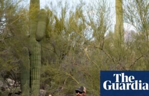 FBI ujawnia nowe szczegóły na temat zamaskowanego podejrzanego w sprawie zaginięcia Nancy Guthrie | Arizona