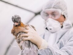 Ostrzeżenie o „najbardziej zakaźnych jak dotąd” epidemiach grypy – 92 w Wielkiej Brytanii od października | Wielka Brytania | Aktualności