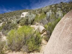 Trzęsienie ziemi w Chile NA ŻYWO: Kraj wstrząśnięty ogromnym wstrząsem o magnitudzie 6,2 | Świat | Aktualności