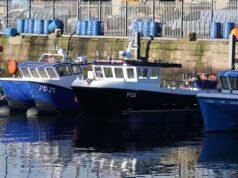 Brytyjska firma stoczniowa popada w administrację – wszystkie miejsca pracy stracone | Wielka Brytania | Aktualności