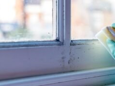 Czarną pleśń usuniesz z powierzchni za pomocą 1 łyżeczki naturalnego składnika | Wielka Brytania | Aktualności