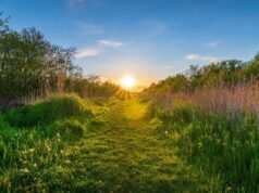 Dokładne datowniki w Wielkiej Brytanii przesuwają się do przodu na lżejsze wieczory | Wielka Brytania | Aktualności