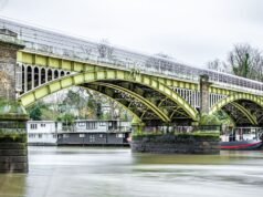 Mężczyzna zrzucił kocięta swojej córki z mostu Twickenham | Wielka Brytania | Aktualności