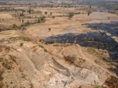 Przerażenie: co najmniej 37 górników zginęło w Nigerii w wyniku „wycieku toksycznego gazu”