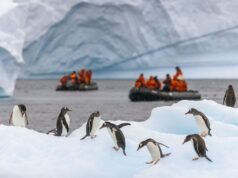 Naukowcy ujawniają przerażającą prognozę dotyczącą Antarktydy — „katastrofalną” | Świat | Aktualności