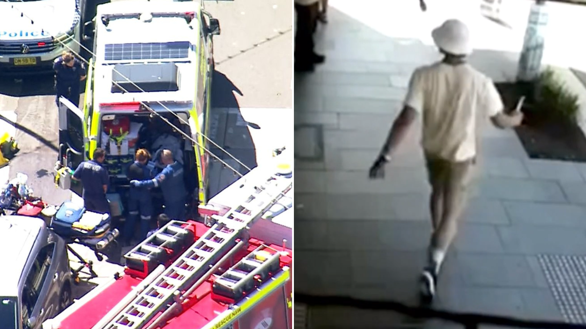 „Chroniczne niedofinansowanie”: lekarz ostrzega przed pęknięciami w systemie zdrowia psychicznego Nowej Południowej Walii po śmiertelnych ucieczkach