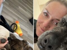 Pies Lindsey Vonn zdechł dzień po jej wypadku na igrzyskach olimpijskich w Mediolanie Cortina