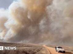 Szybko rozprzestrzeniające się pożary szaleją w południowo-zachodnich Stanach Zjednoczonych