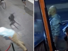 Policja ściga Tony’ego Rogersa, rzucającego krzesłem, który przypadkowo potrącił kolegę przed klubem ze striptizem w Melbourne